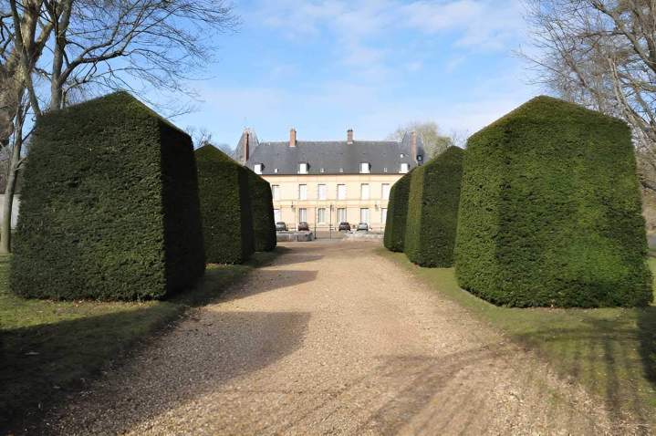 Taille de haies Bazainville