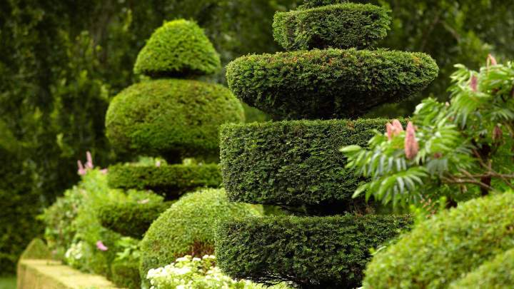 Espaces verts Bazainville