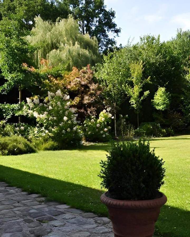 Création espace vert Bazainville