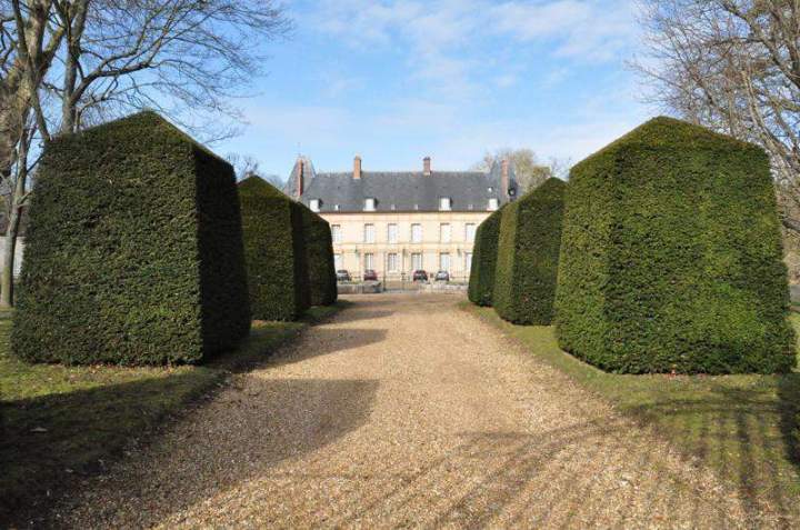 Taille de haies Bazainville